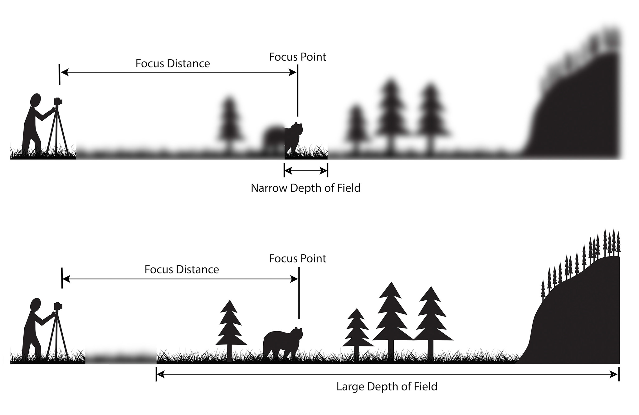 Depth of field illustration depicting the difference between narrow and large depths of field.